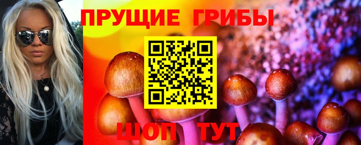 Псилоцибиновые грибы MAGIC MUSHROOMS  Галлюциногенные грибы прущие грибы  где найти   Вход с VPN  Электросталь 